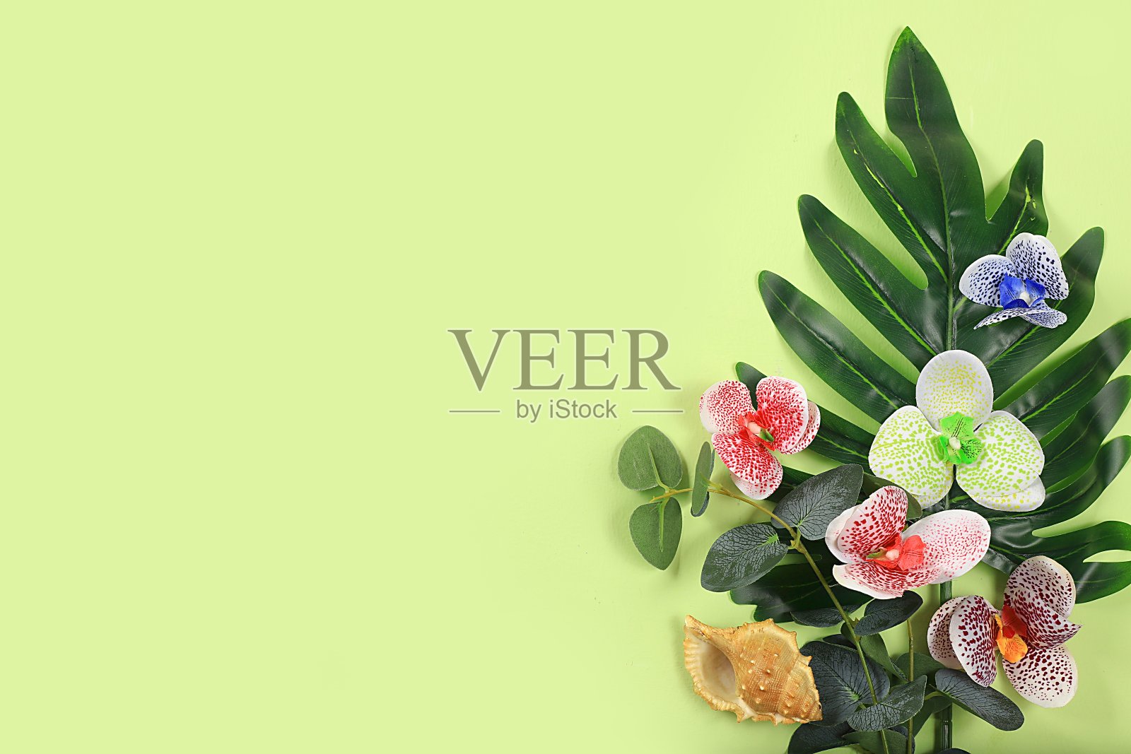 夏日构图，异国情调的抽象背景与热带棕榈叶和兰花在阳光明媚的餐桌上，夏日度假概念，旗帜照片摄影图片