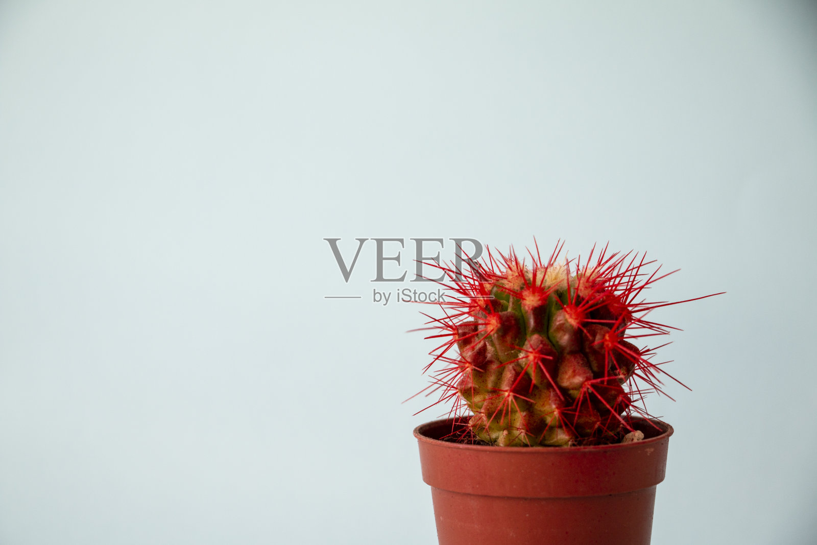 仙人掌，铅笔，五颜六色的东西照片摄影图片