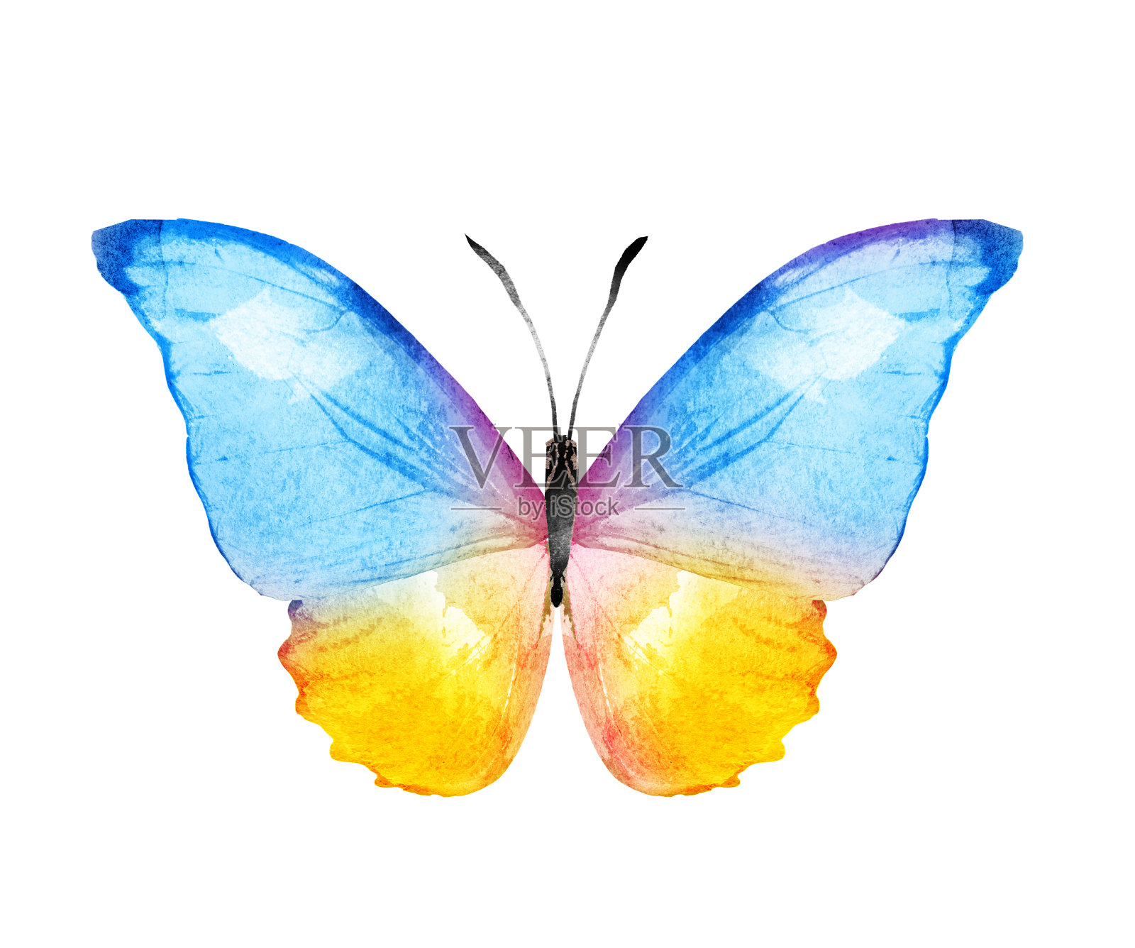 彩色水彩蝴蝶，孤立在白色背景上设计元素图片