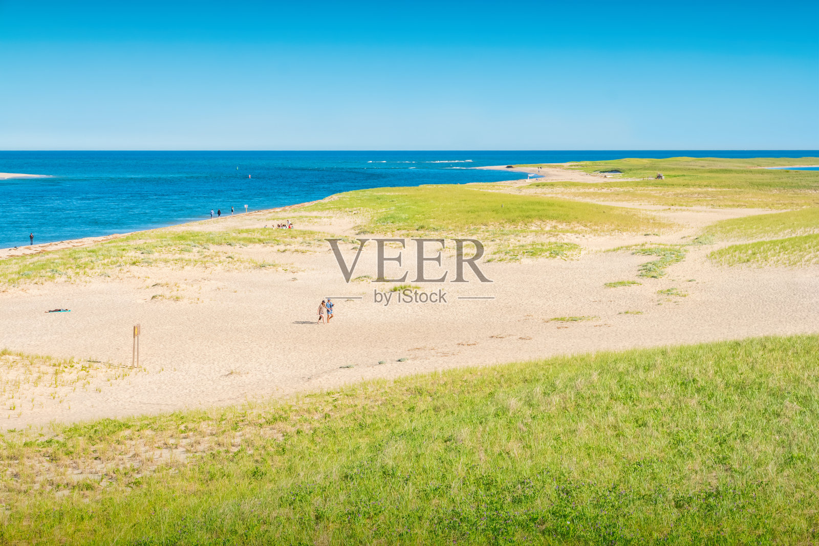 美国马萨诸塞州科德角海滩沙丘照片摄影图片