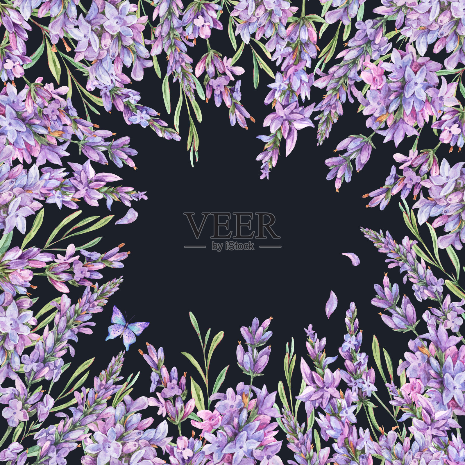 水彩薰衣草花自然花环在复古风格孤立在黑色背景。淡紫色植物卡片插画图片素材