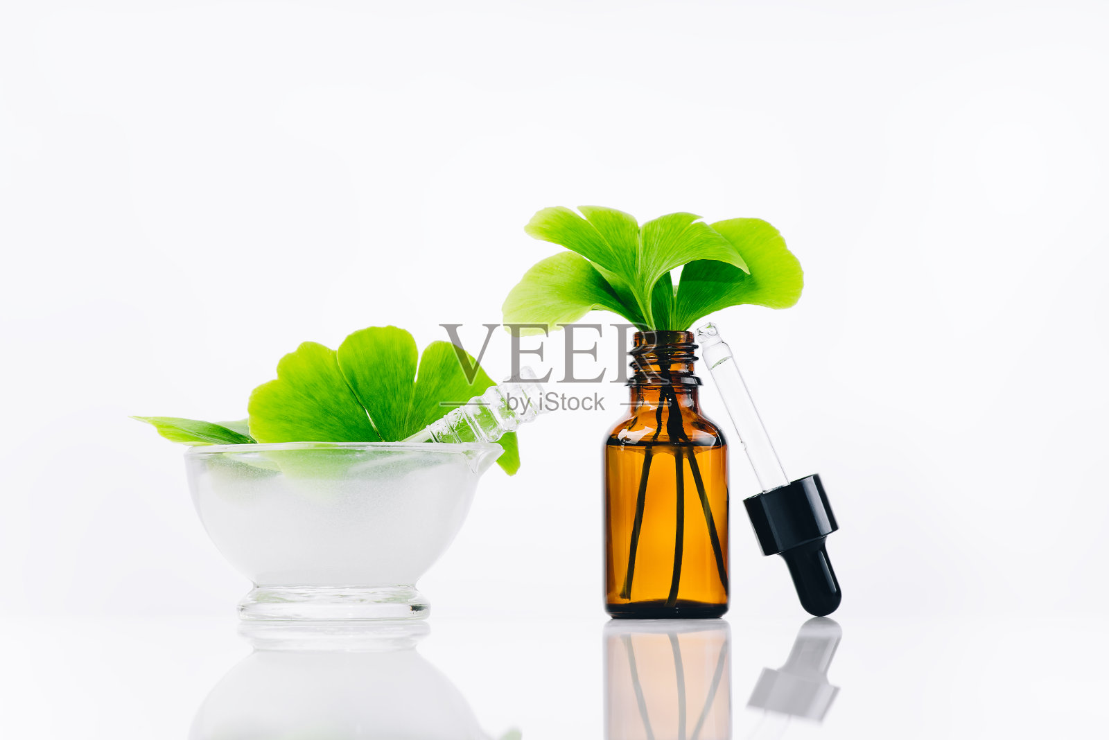 新鲜银杏叶与研钵和研杵瓶萃取，银杏叶油白色背景。自然医学草药。照片摄影图片