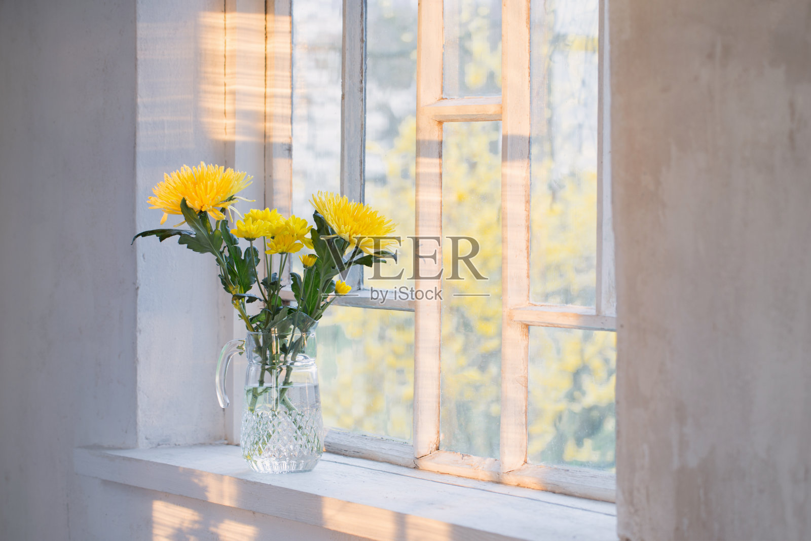 窗台上花瓶里的黄花照片摄影图片
