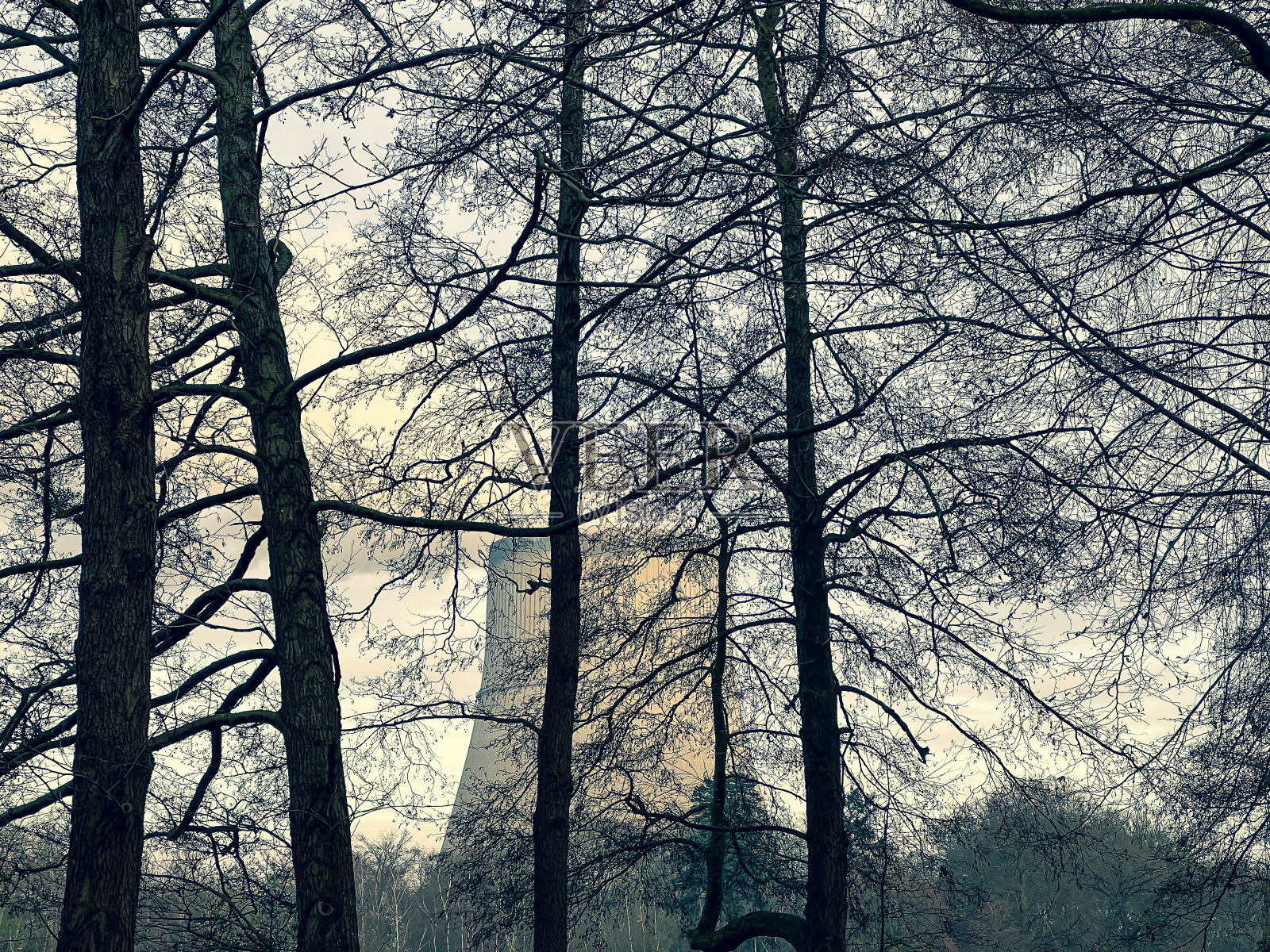 通过树木看到的核电站。照片摄影图片