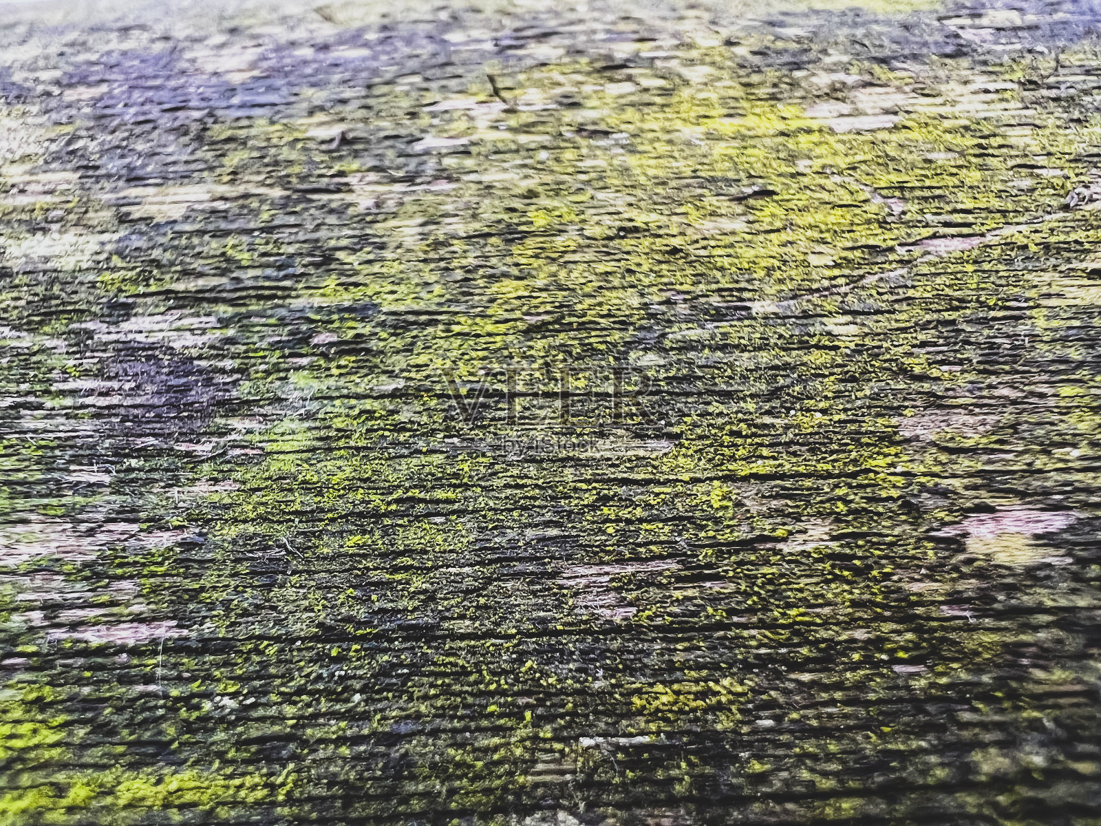 旧的苔藓覆盖的木材作为纹理或背景. ...照片摄影图片