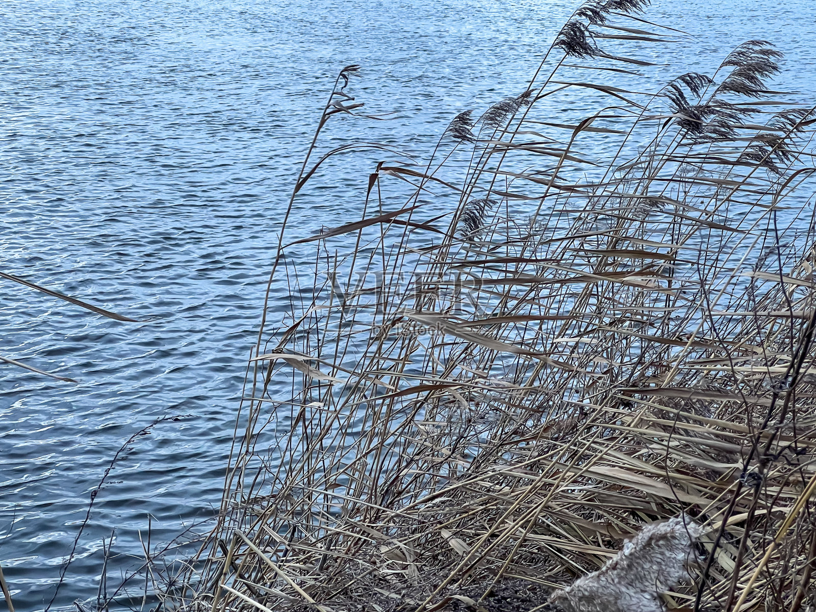 这条河在冬天的傍晚被芦苇环绕，叫做“Ems”。照片摄影图片