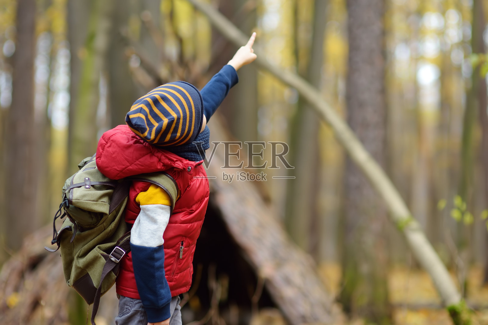 小童子军在秋天的森林里徒步旅行。孩子的后面是一个帐篷小屋。儿童探险，童军和徒步旅行。照片摄影图片