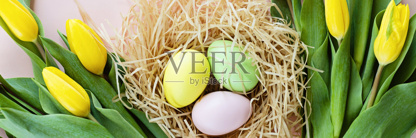 时尚的背景与彩色复活节蛋孤立在淡粉色背景与黄色郁金香花。网页设计的水平长横幅。平躺，顶视图，模型，头顶，模板照片摄影图片