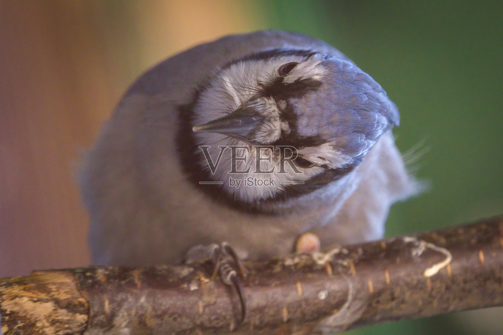 横着看照片摄影图片