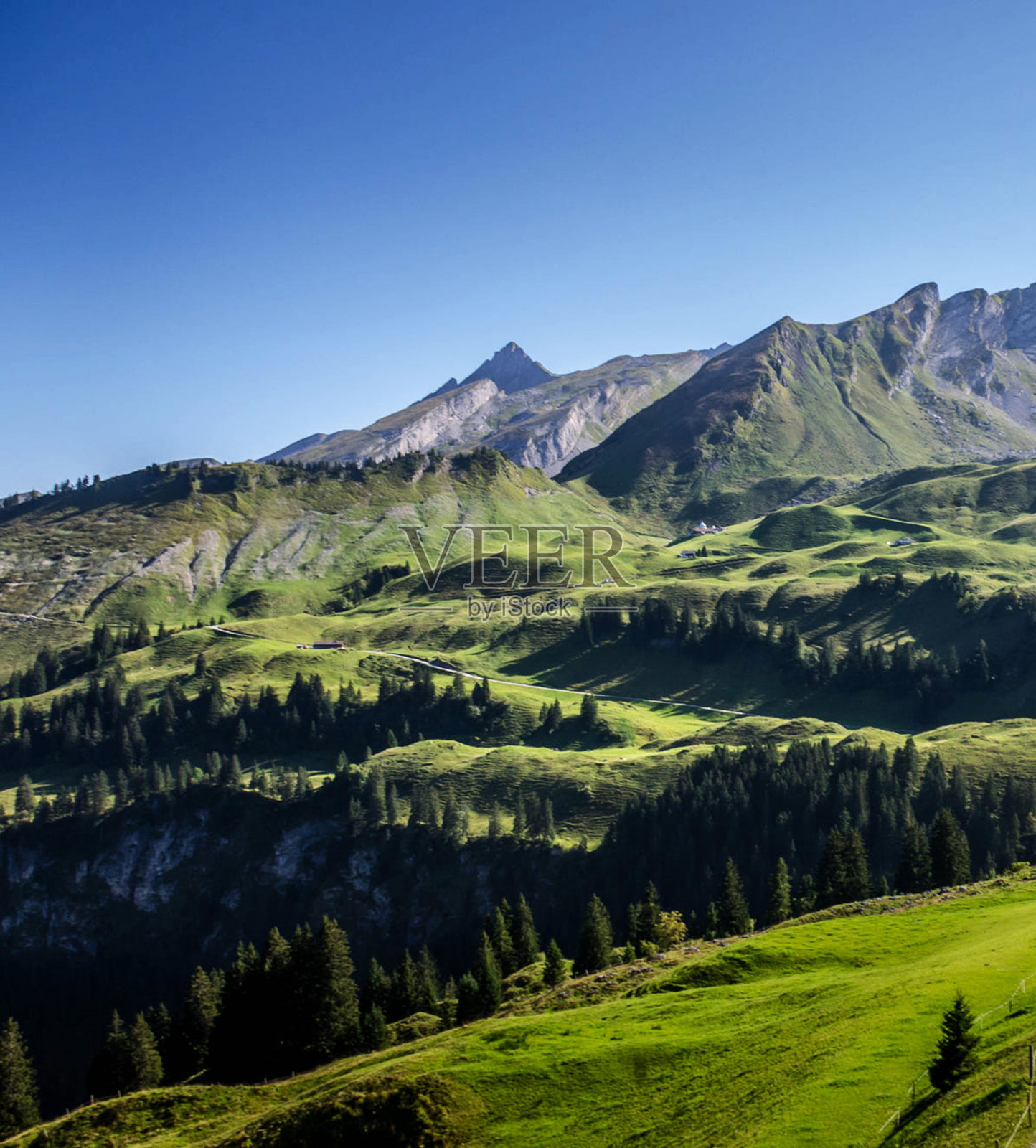 贝肯里德，瑞士图片照片摄影图片