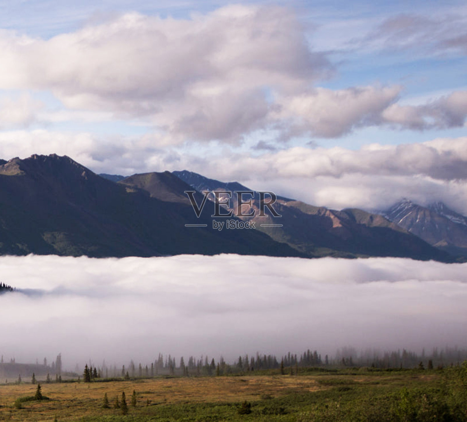 奴,阿拉斯加的照片照片摄影图片
