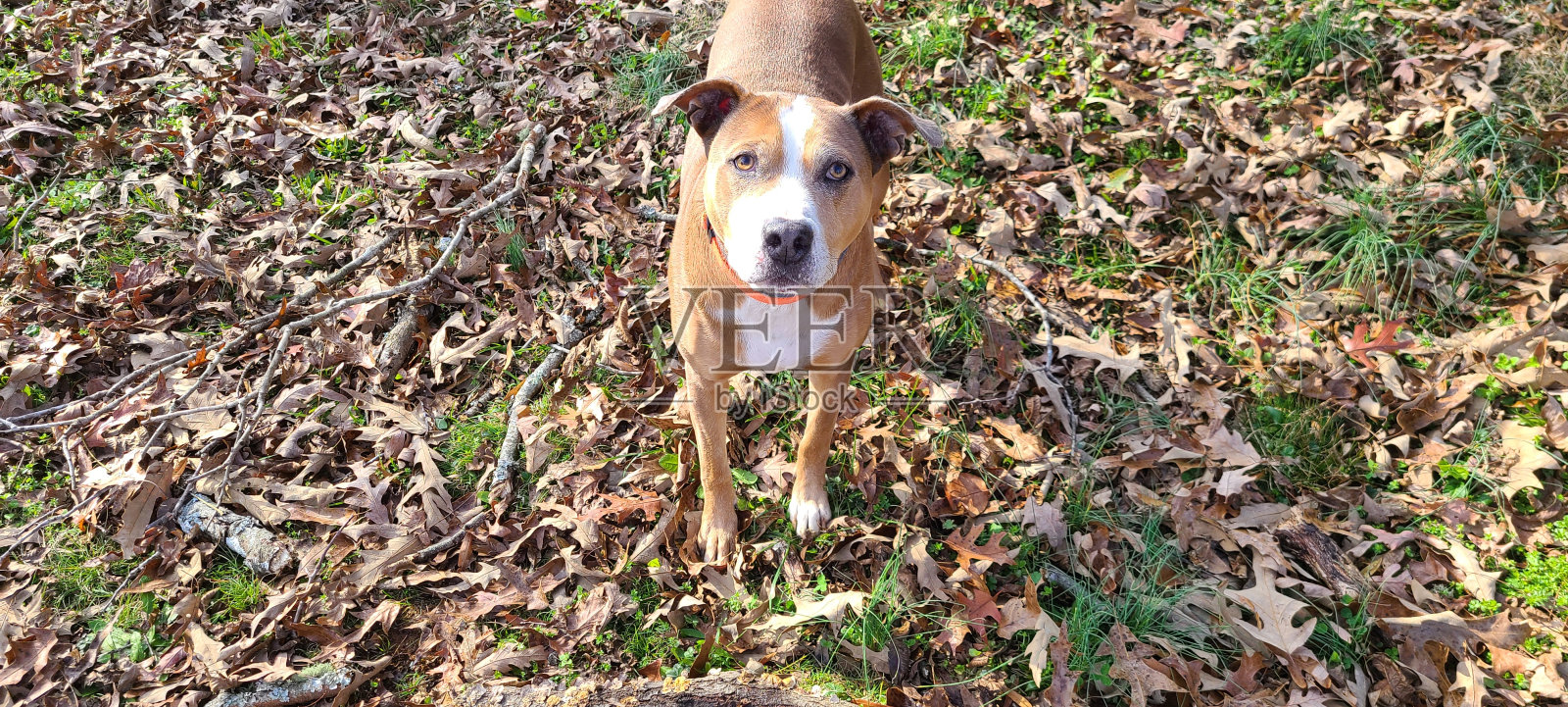 游戏时间吗?照片摄影图片