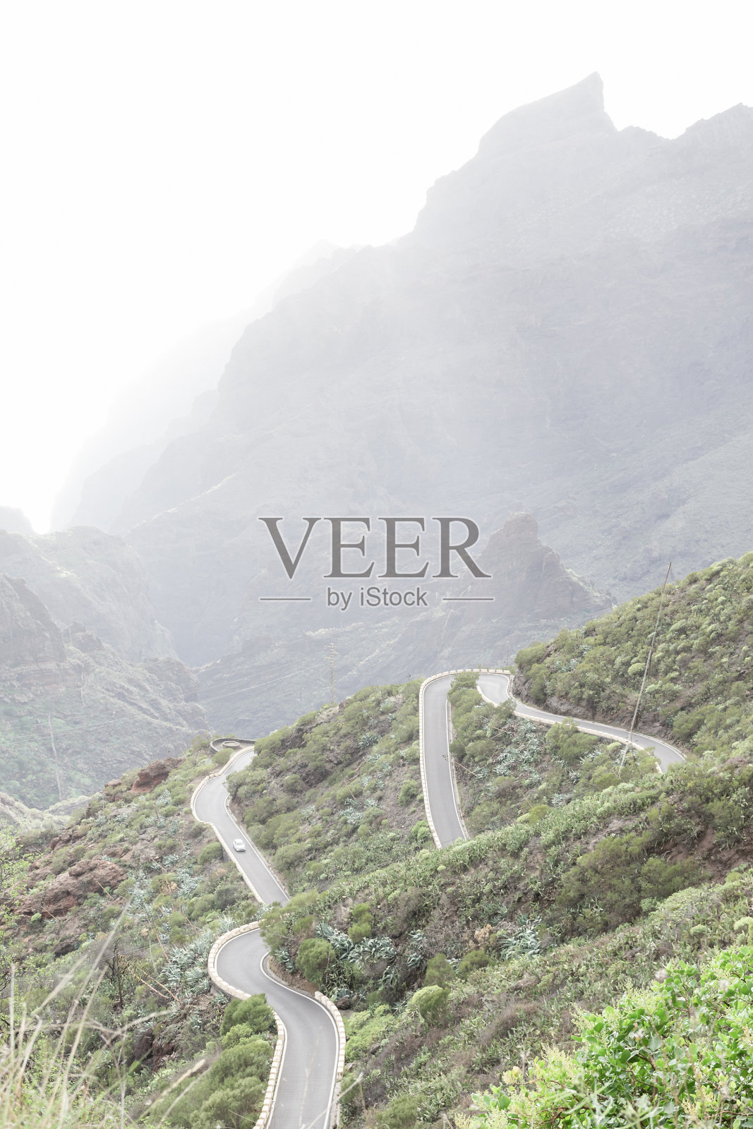 特内里费照片摄影图片