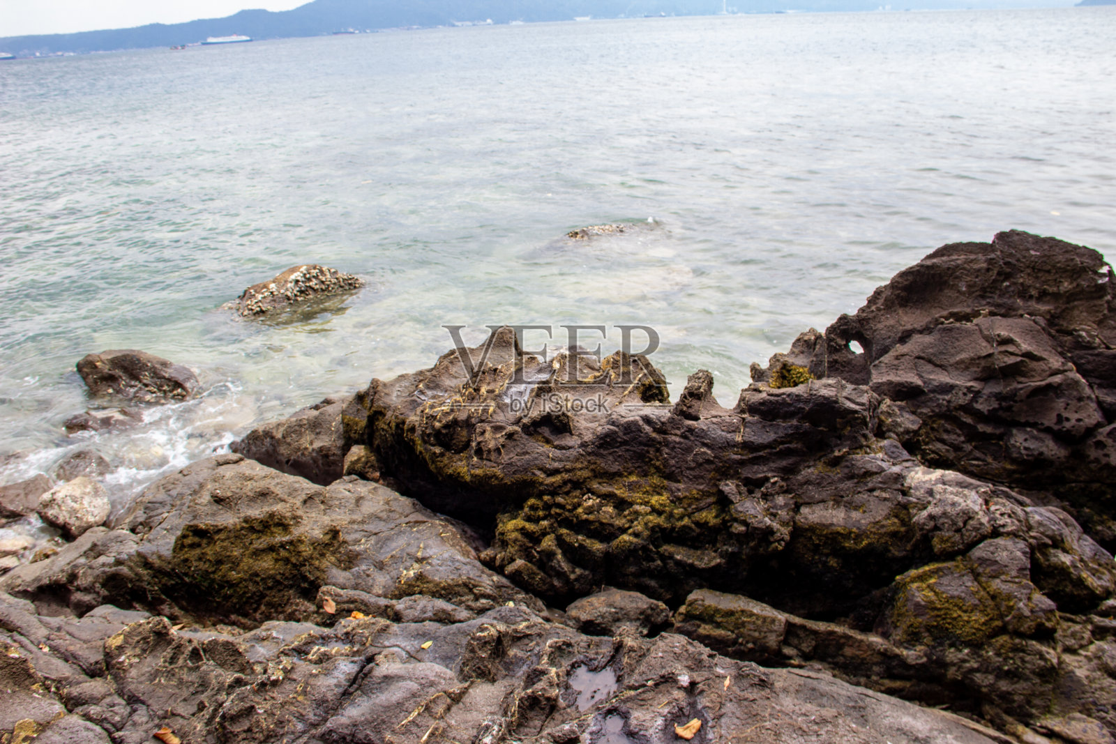 珊瑚礁照片摄影图片