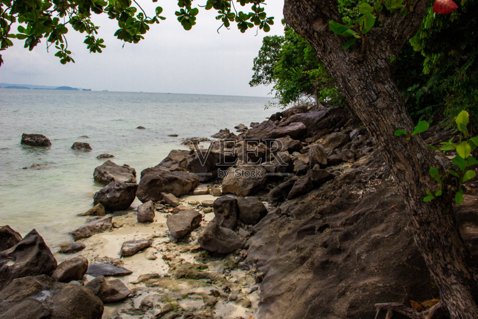 珊瑚礁照片摄影图片