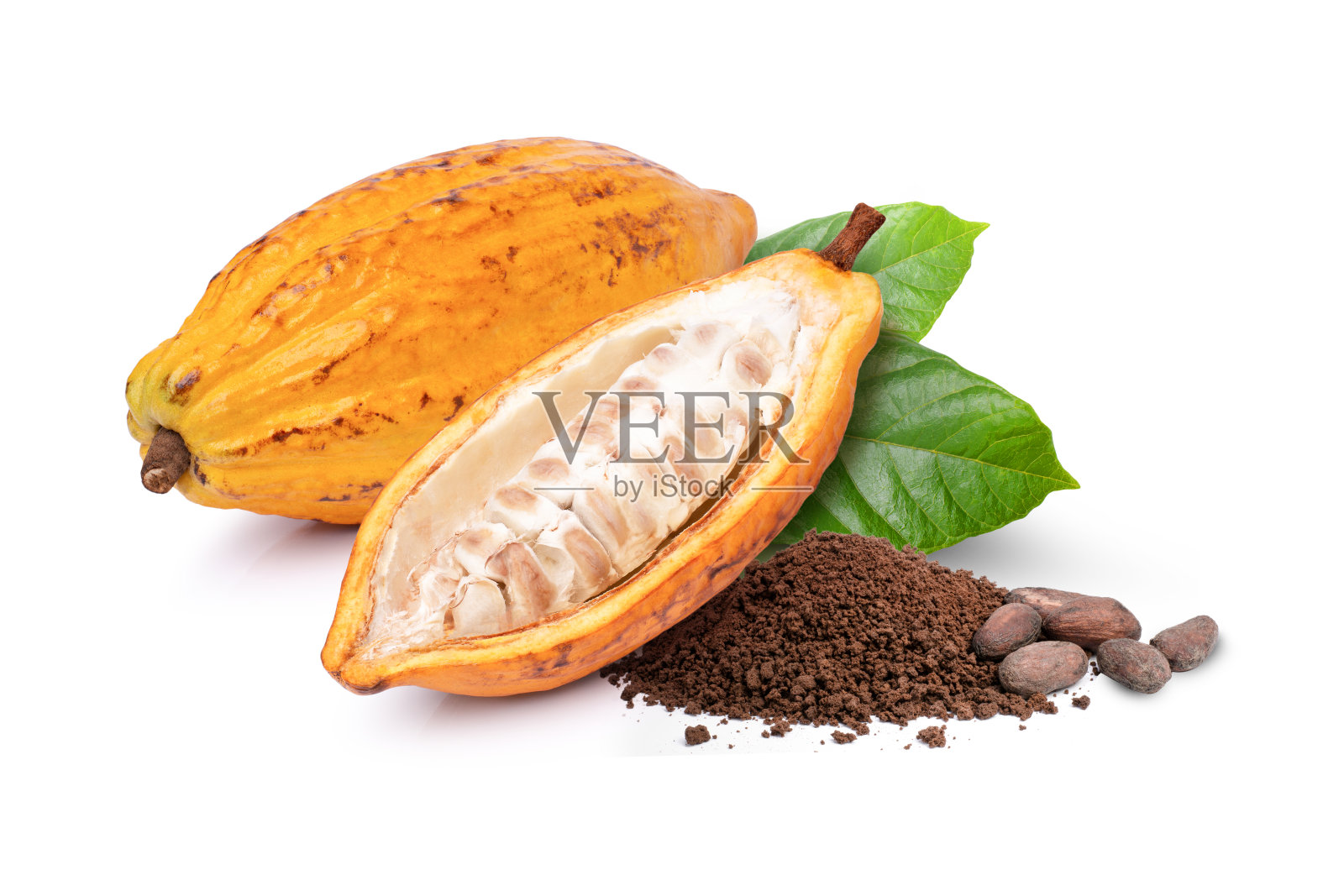 黄色可可豆荚和可可豆照片摄影图片