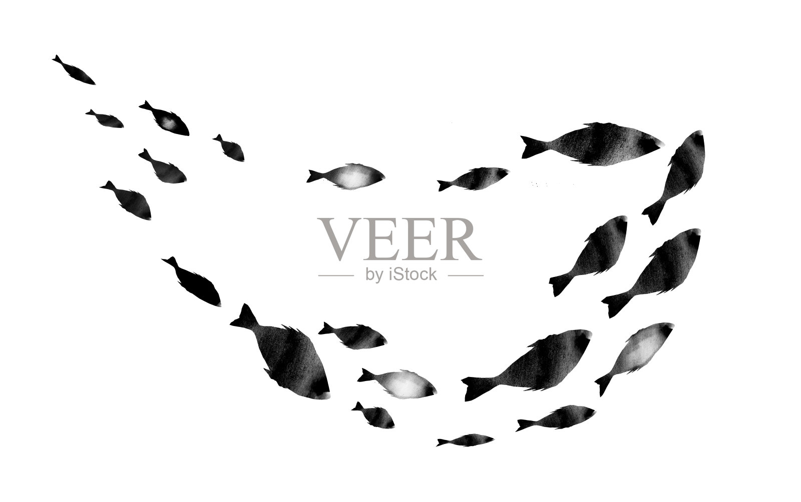 白色的鱼群的剪影。水彩。黑色和白色插画图片素材