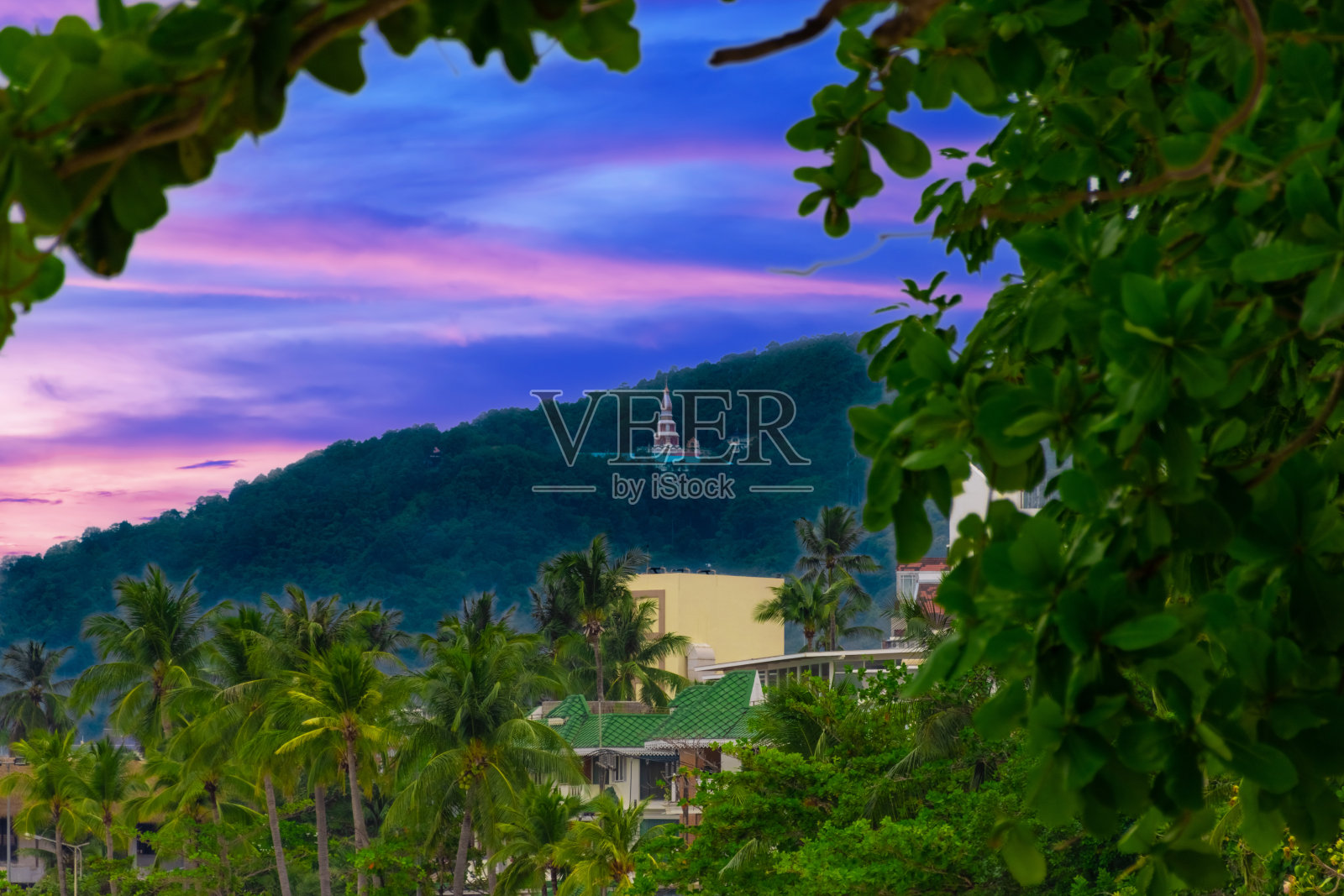 泰国普吉岛前景中棕榈树环绕的巴东山脉照片摄影图片