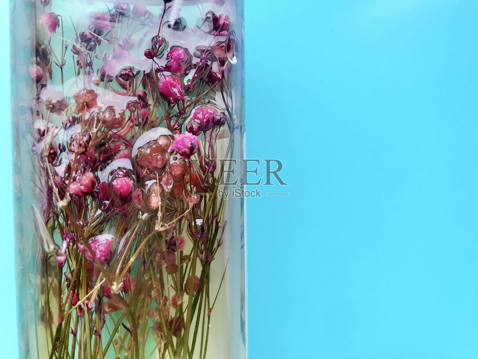 背景照片摄影图片