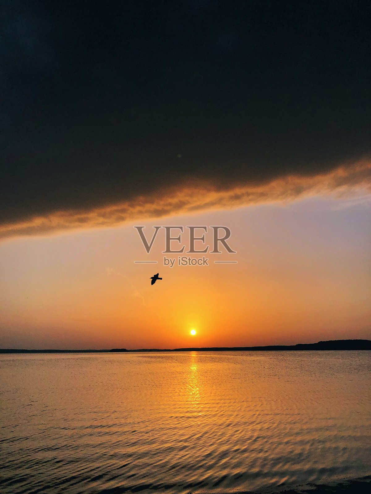 湖上的夕阳照片摄影图片