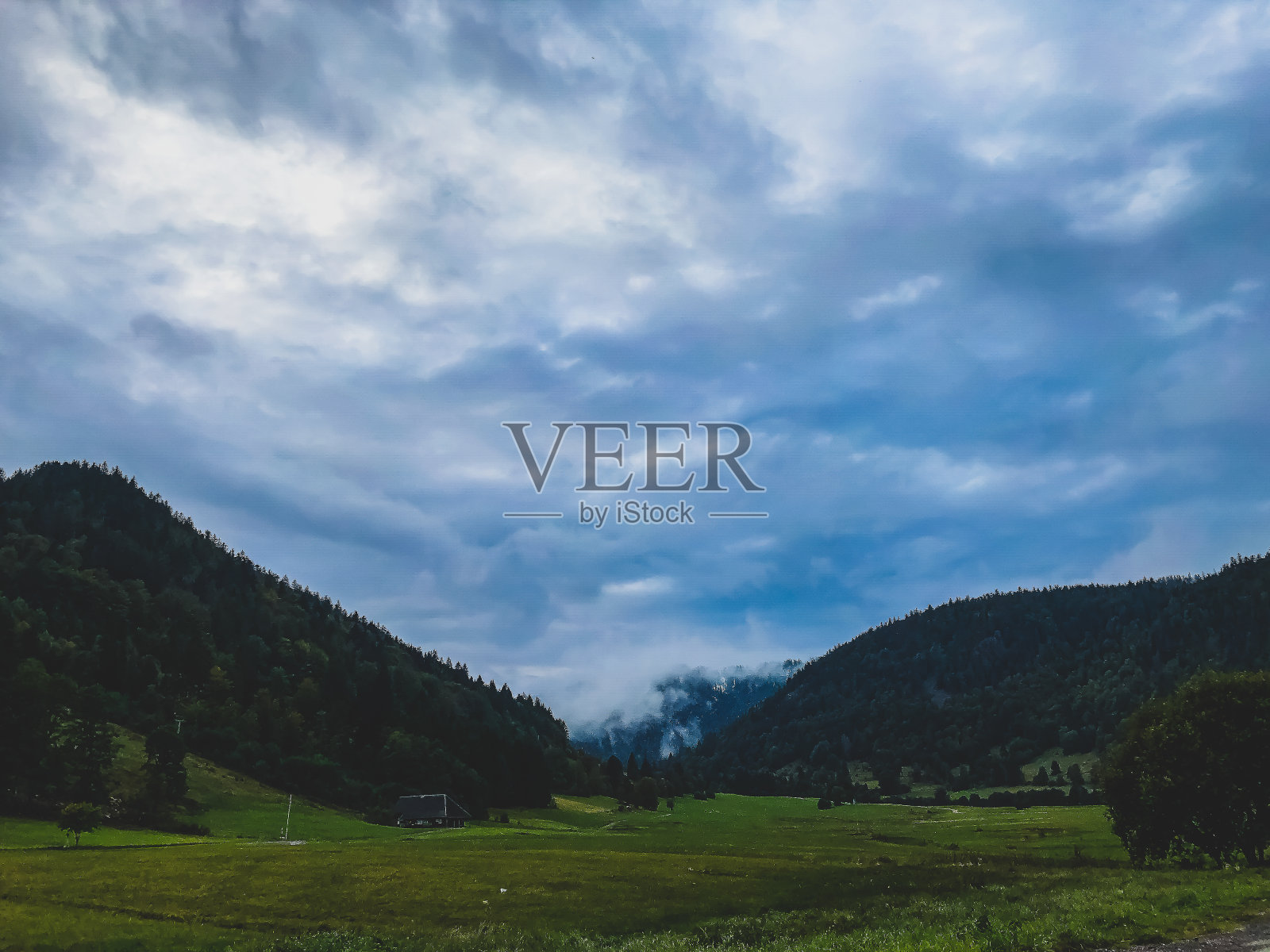 在德国，你可以俯瞰山野和黑森林。照片摄影图片