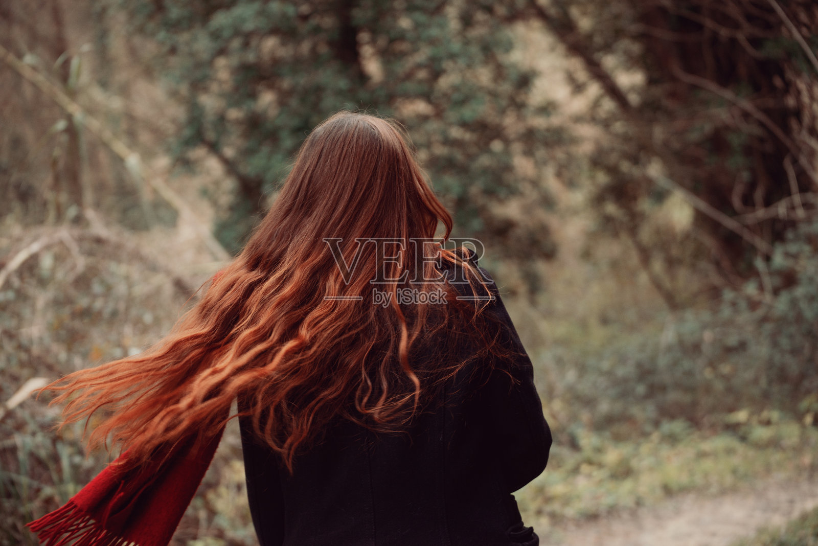 背肖像的红发女孩与美丽的长和波浪形的头发摇她的头照片摄影图片