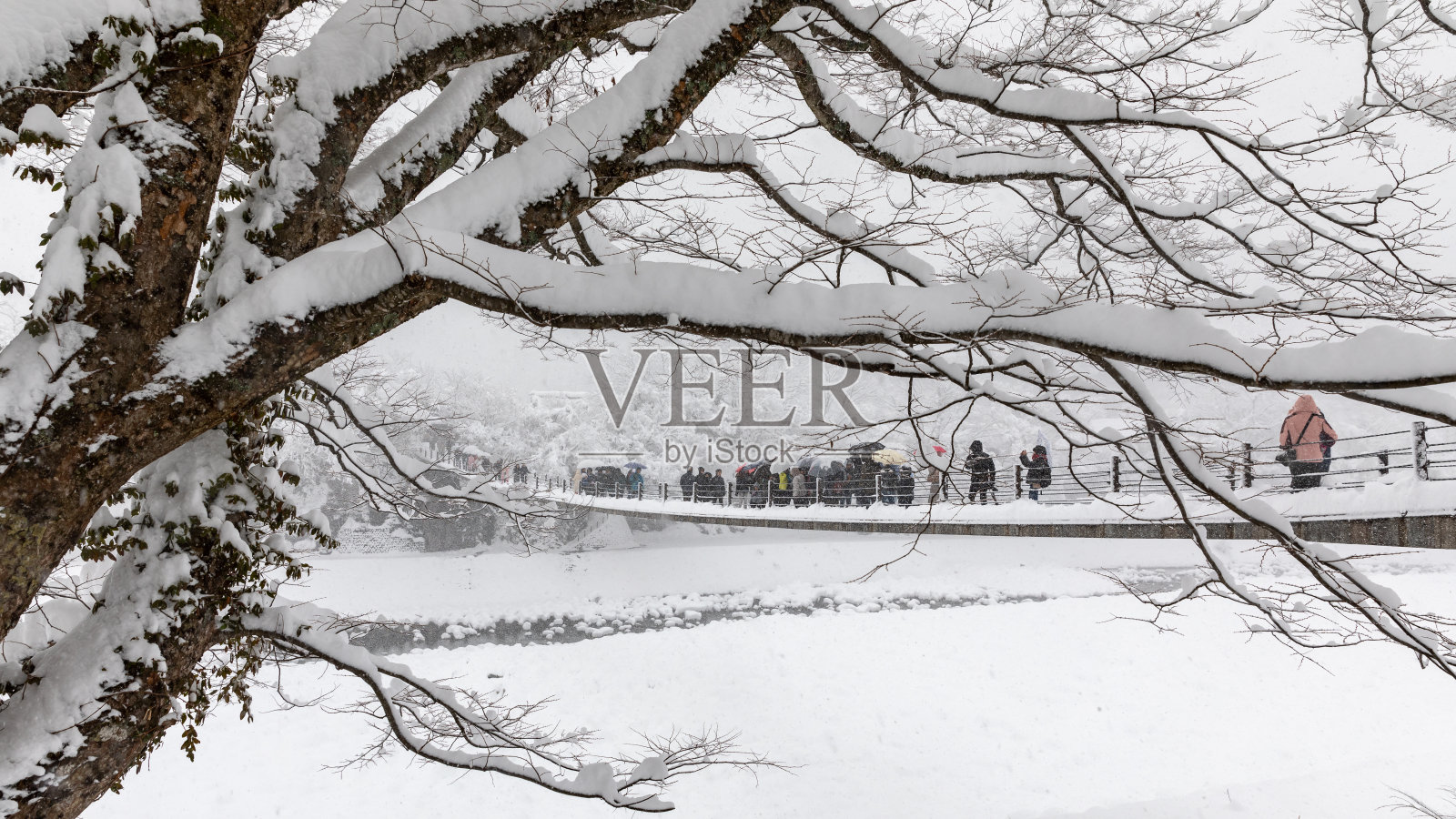 白川去日本雪季照片摄影图片