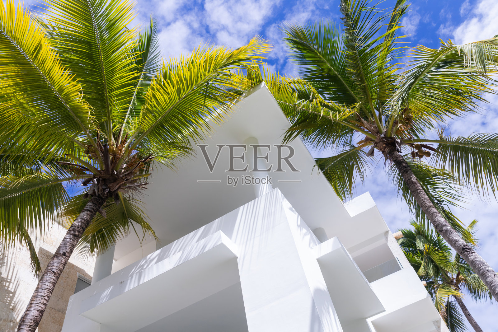 抽象的建筑背景，有房子和棕榈树照片摄影图片