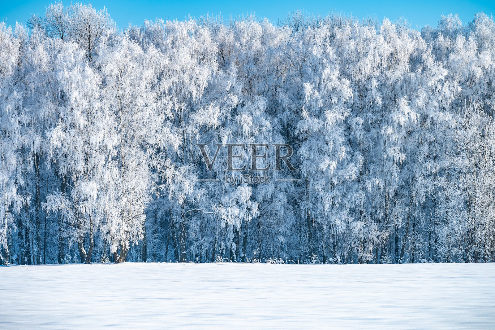 冬天池塘不结冰照片摄影图片