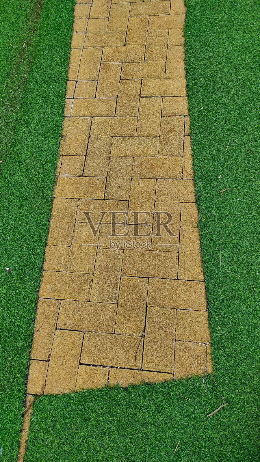 铺草地毯上的石块-股票照片照片摄影图片