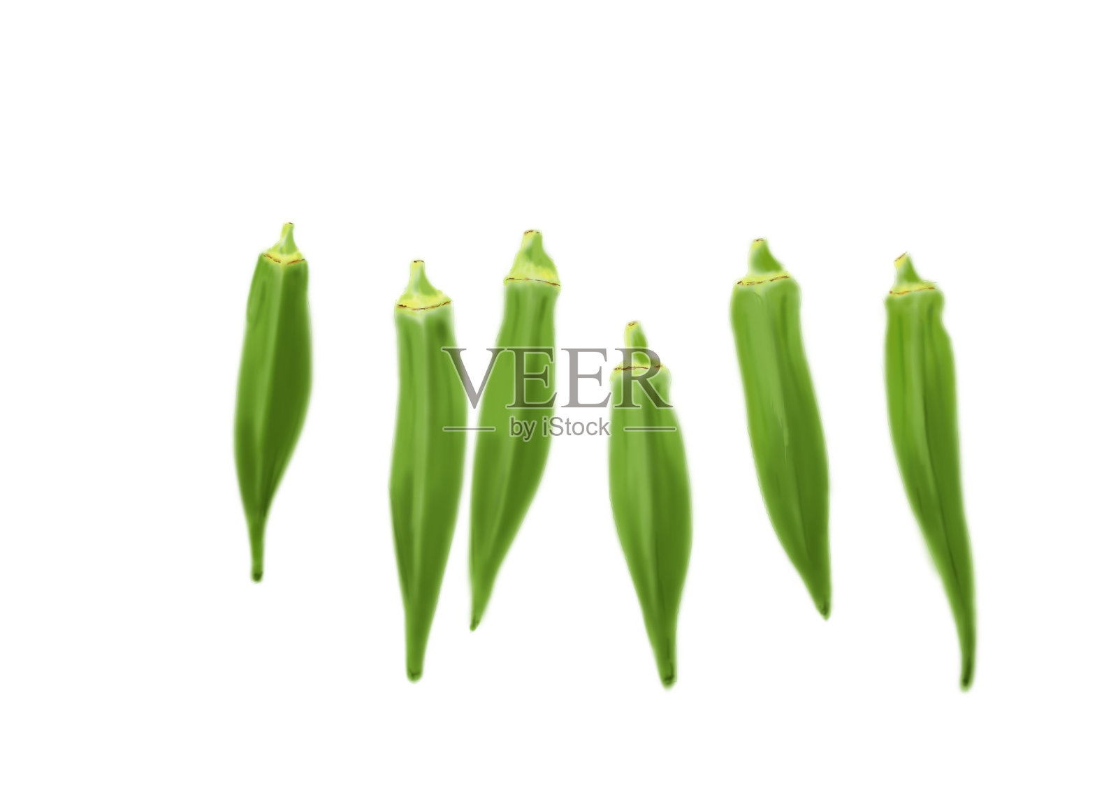 秋葵插画图片素材