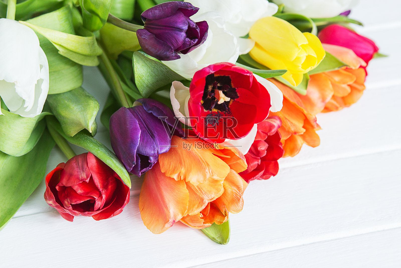 节日复活节春天五彩缤纷的郁金香。照片摄影图片