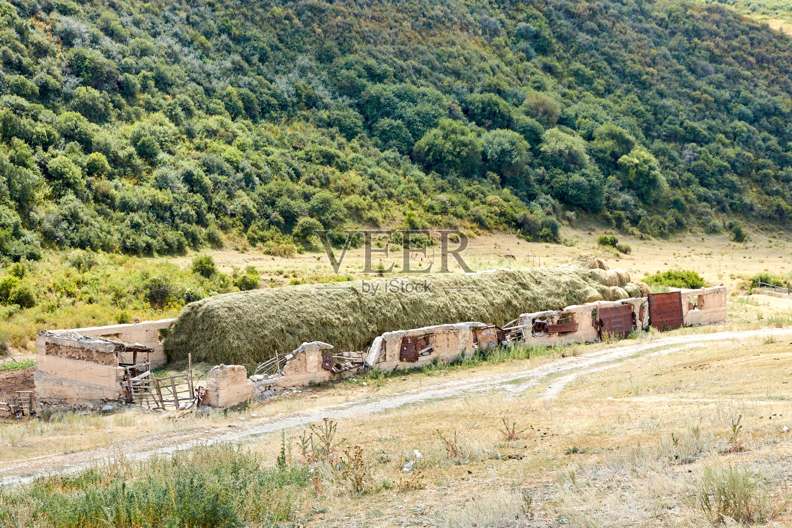 在一座旧建筑的废墟中堆积的巨大的干草堆照片摄影图片