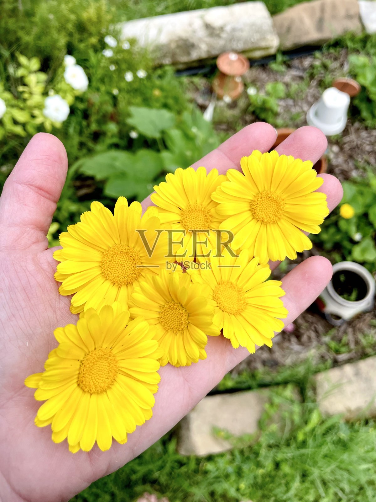 把幸福照片摄影图片