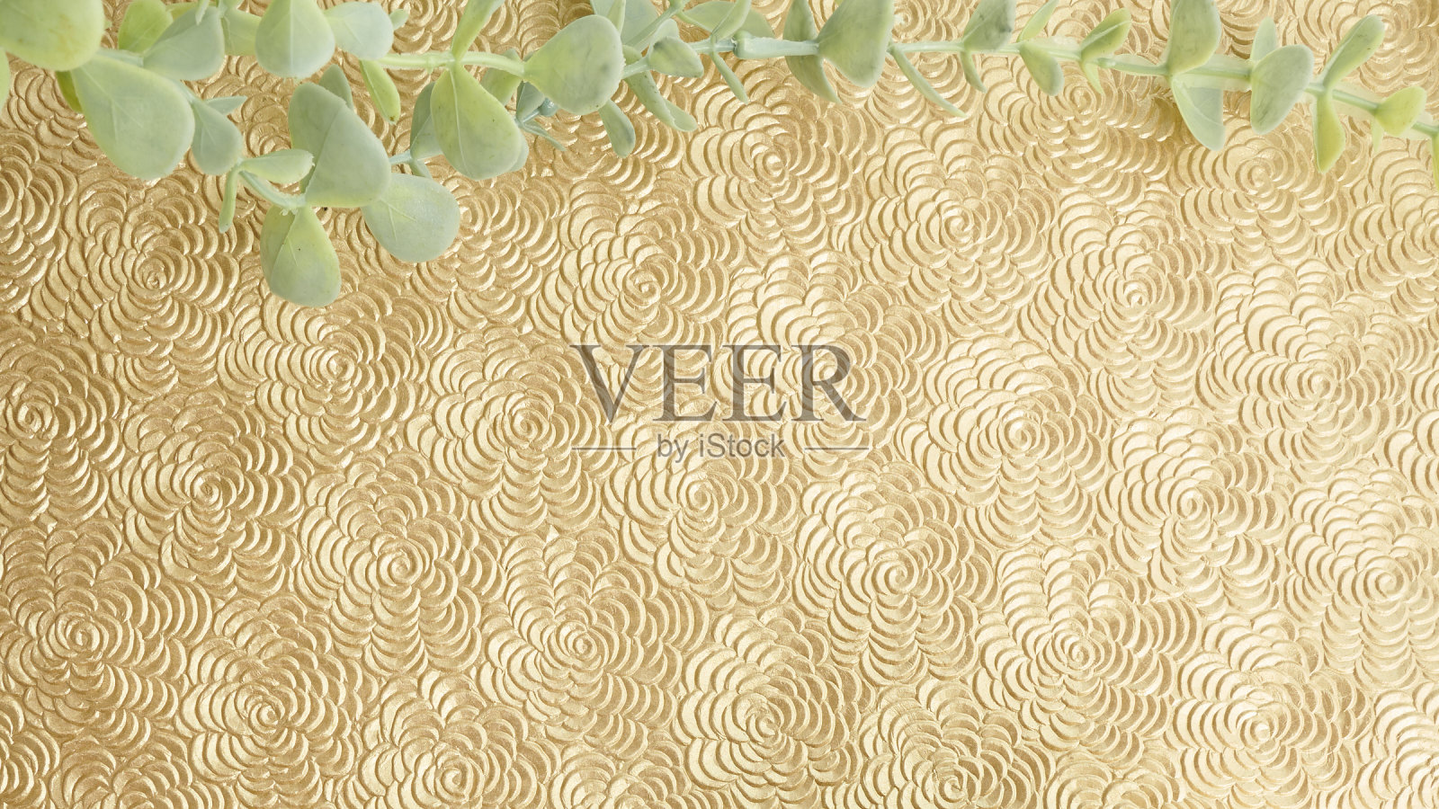 绿色植物收集照片摄影图片