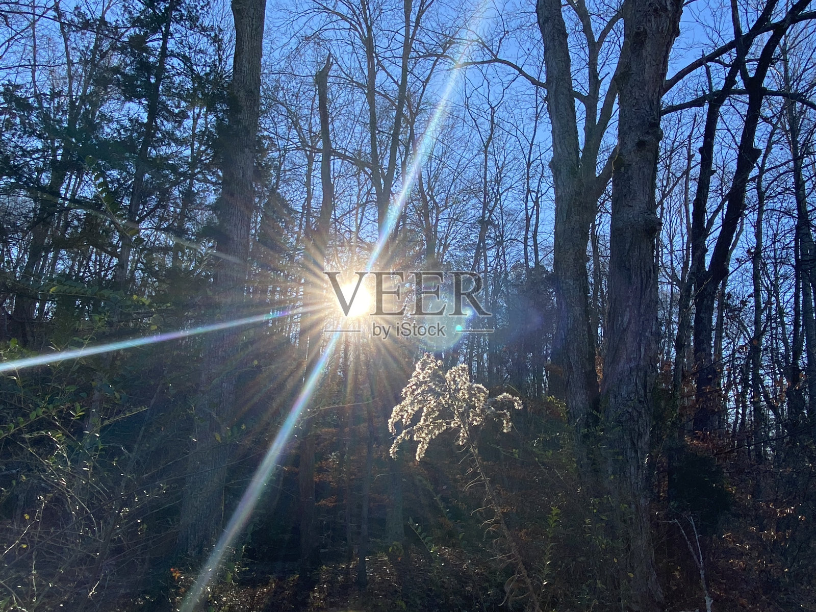 中午照片摄影图片