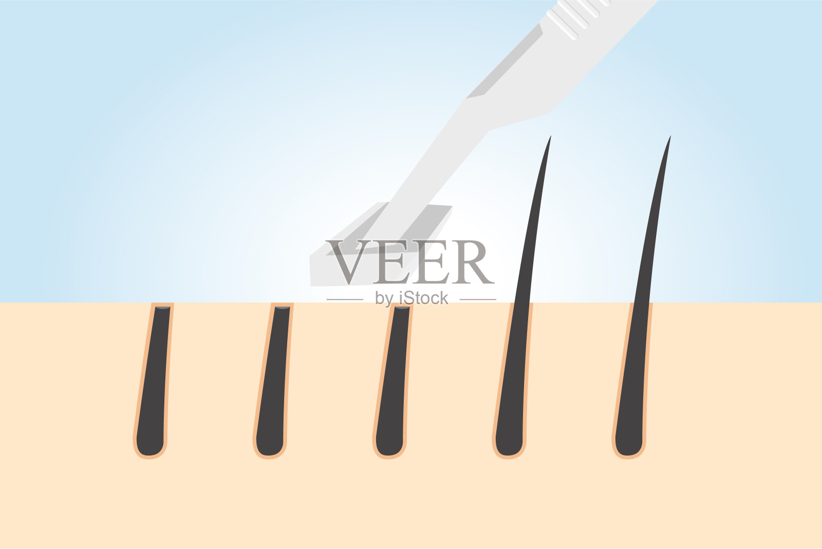 用剃须刀剃掉身体任何部位的毛发，包括胡子、腿、胳膊、腋窝、脸。插图关于脱毛美容。插画图片素材