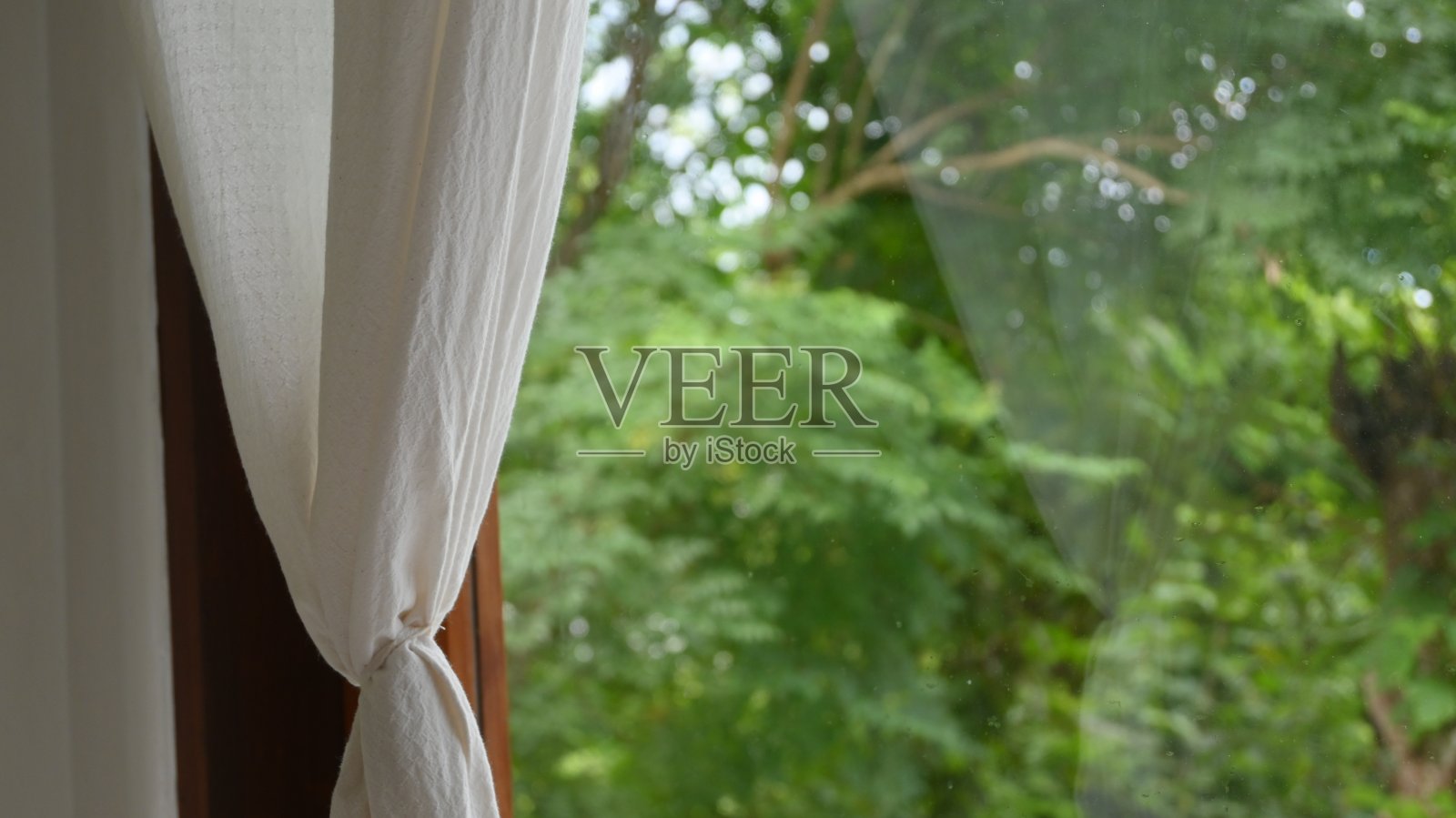 以自然为背景的房间的窗帘照片摄影图片