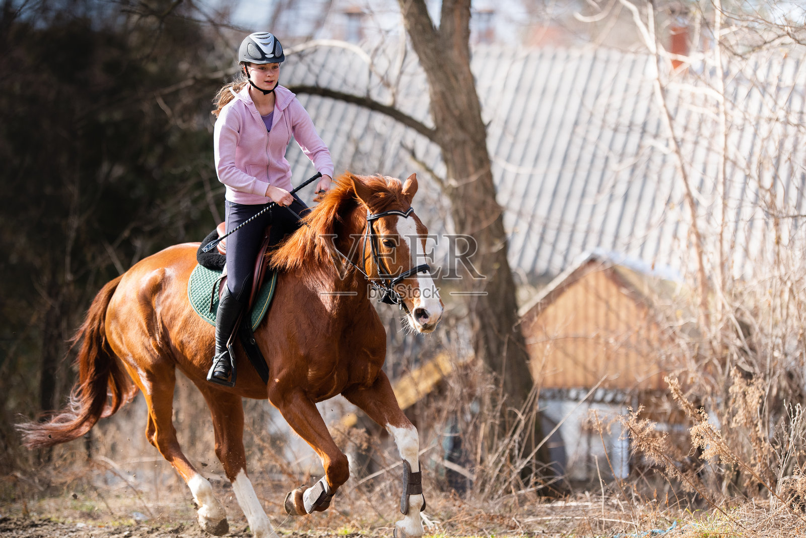 骑在马上的年轻女孩照片摄影图片