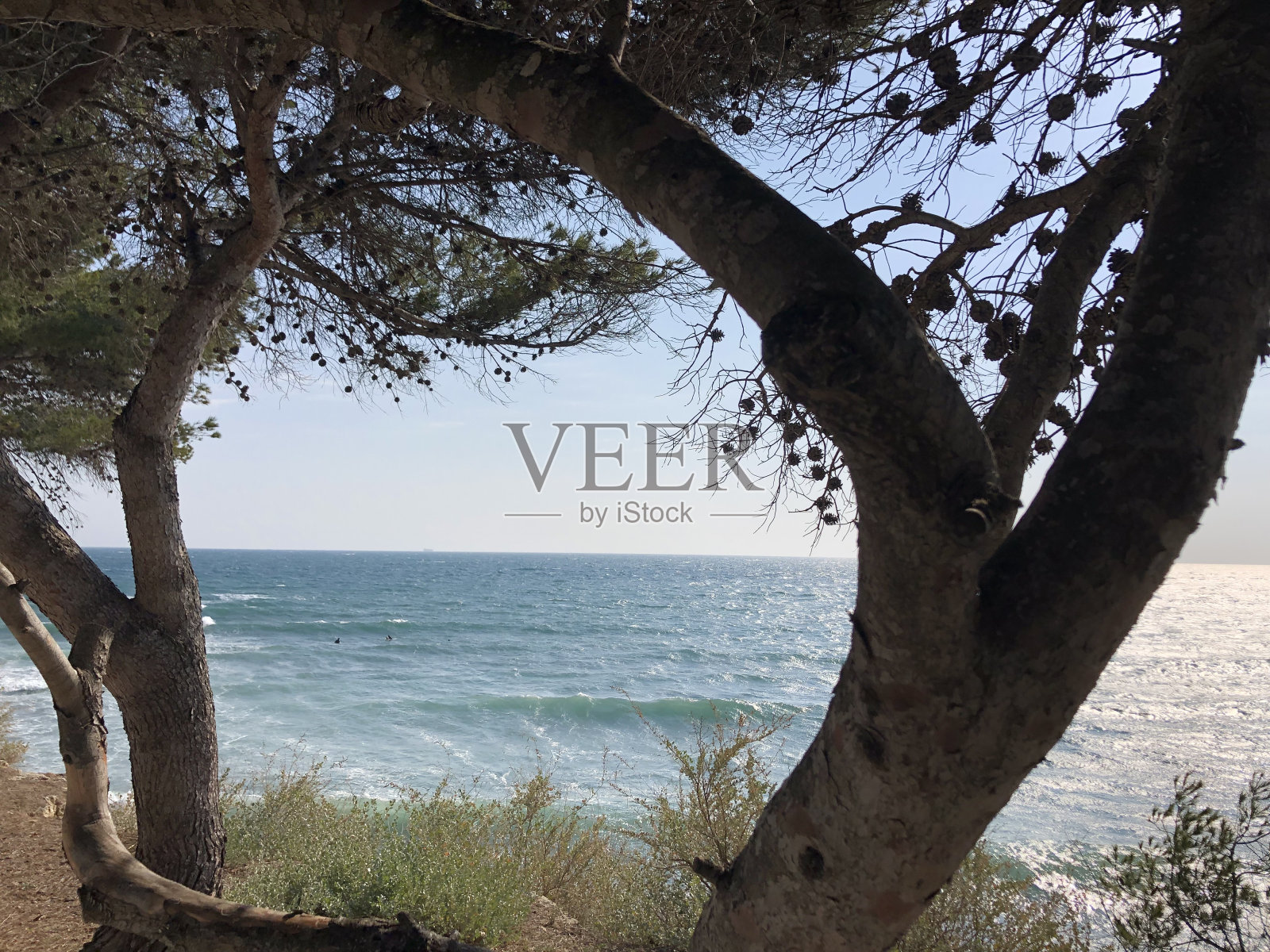 视图照片摄影图片