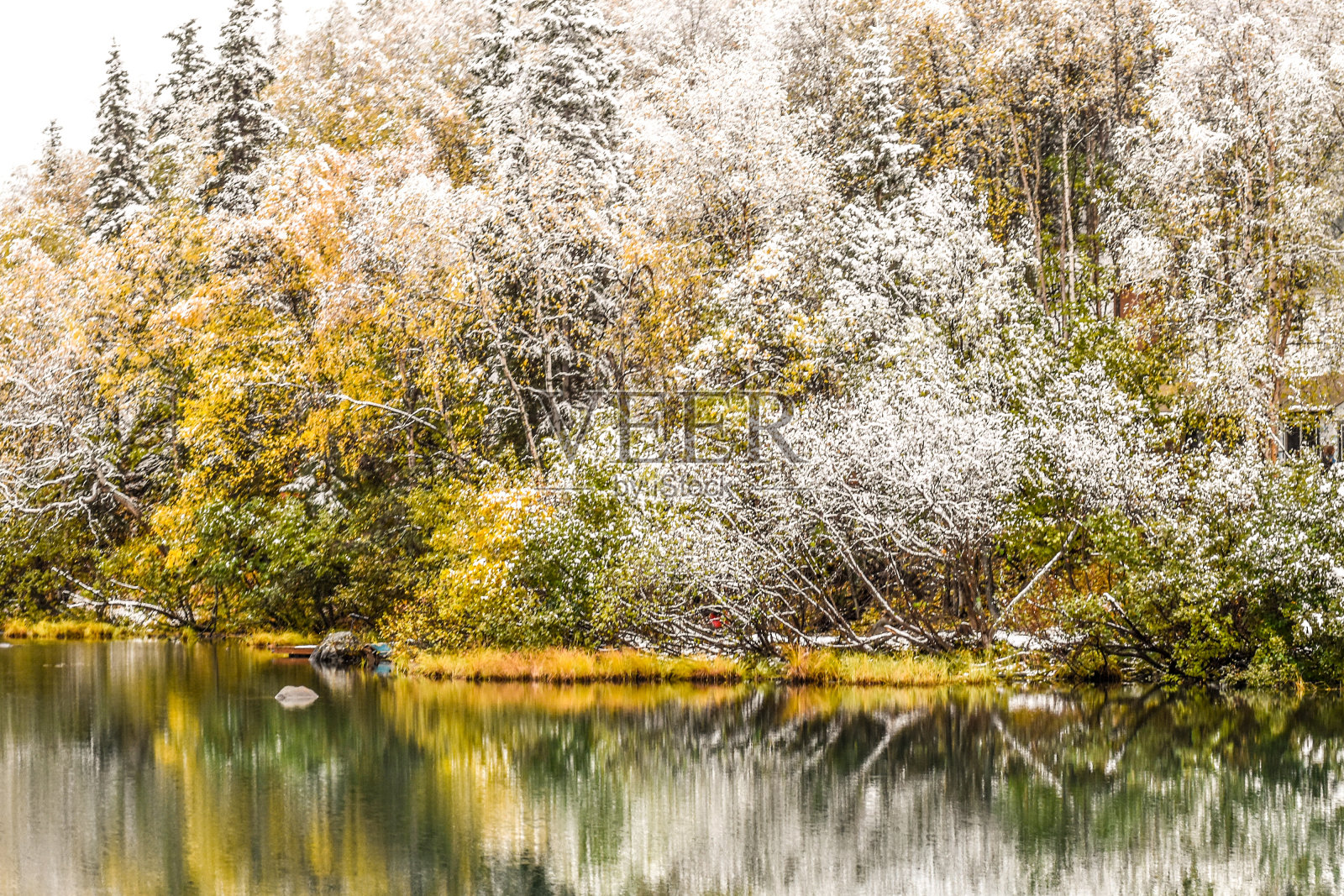 从秋天到冬天照片摄影图片