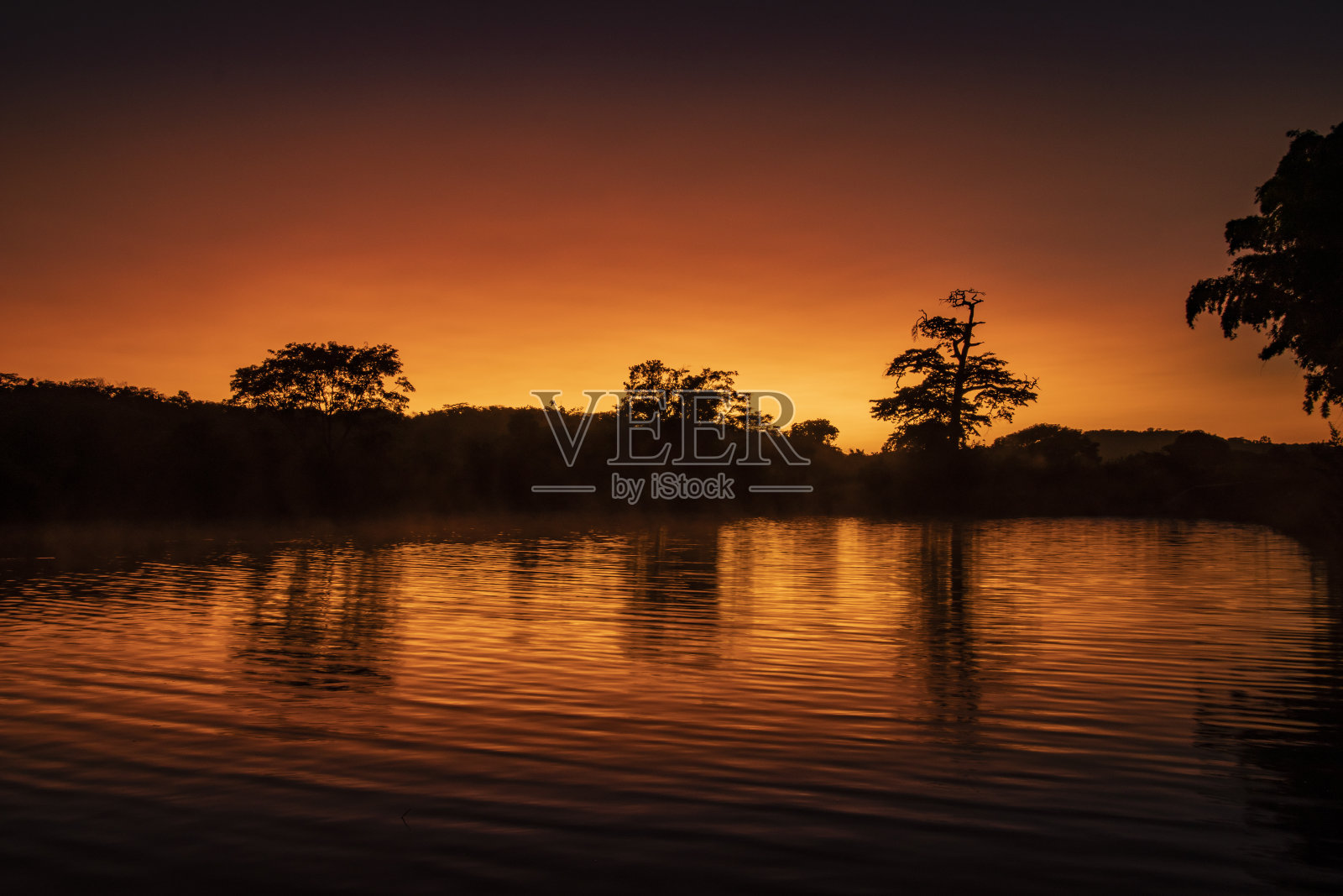 在美丽的巴西大草原上，日出、宁静和和平。照片摄影图片