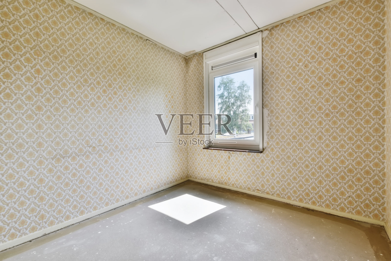 一个漂亮的房间，墙上贴着米色的墙纸照片摄影图片