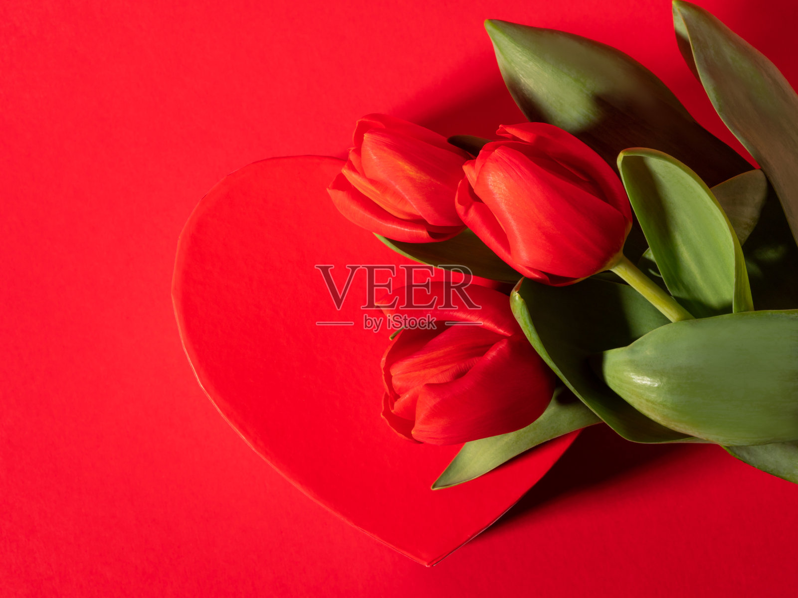 红色郁金香心形盒，女性，情人节照片摄影图片