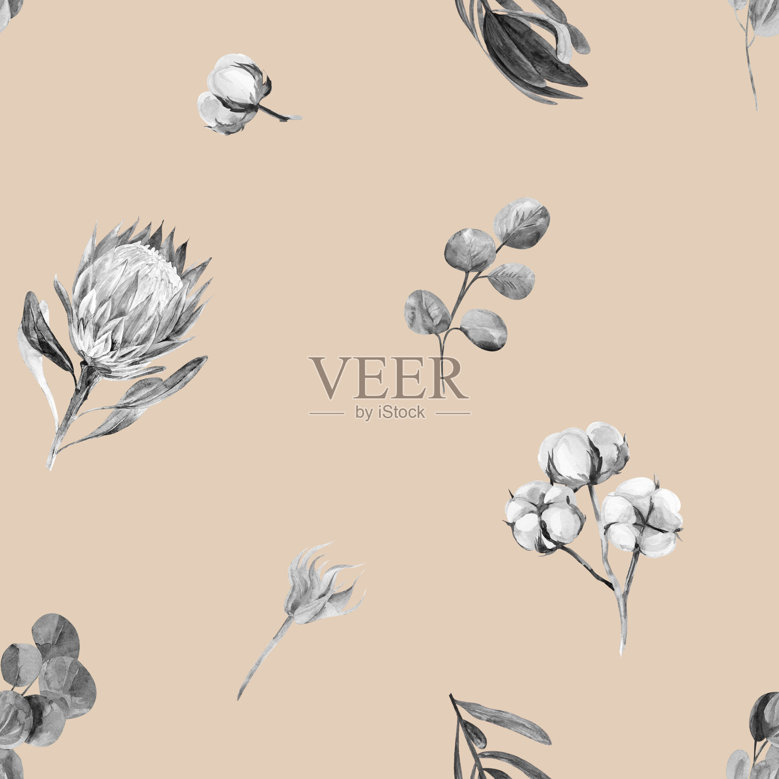 单色无缝图案与protea花和桉树叶插画图片素材