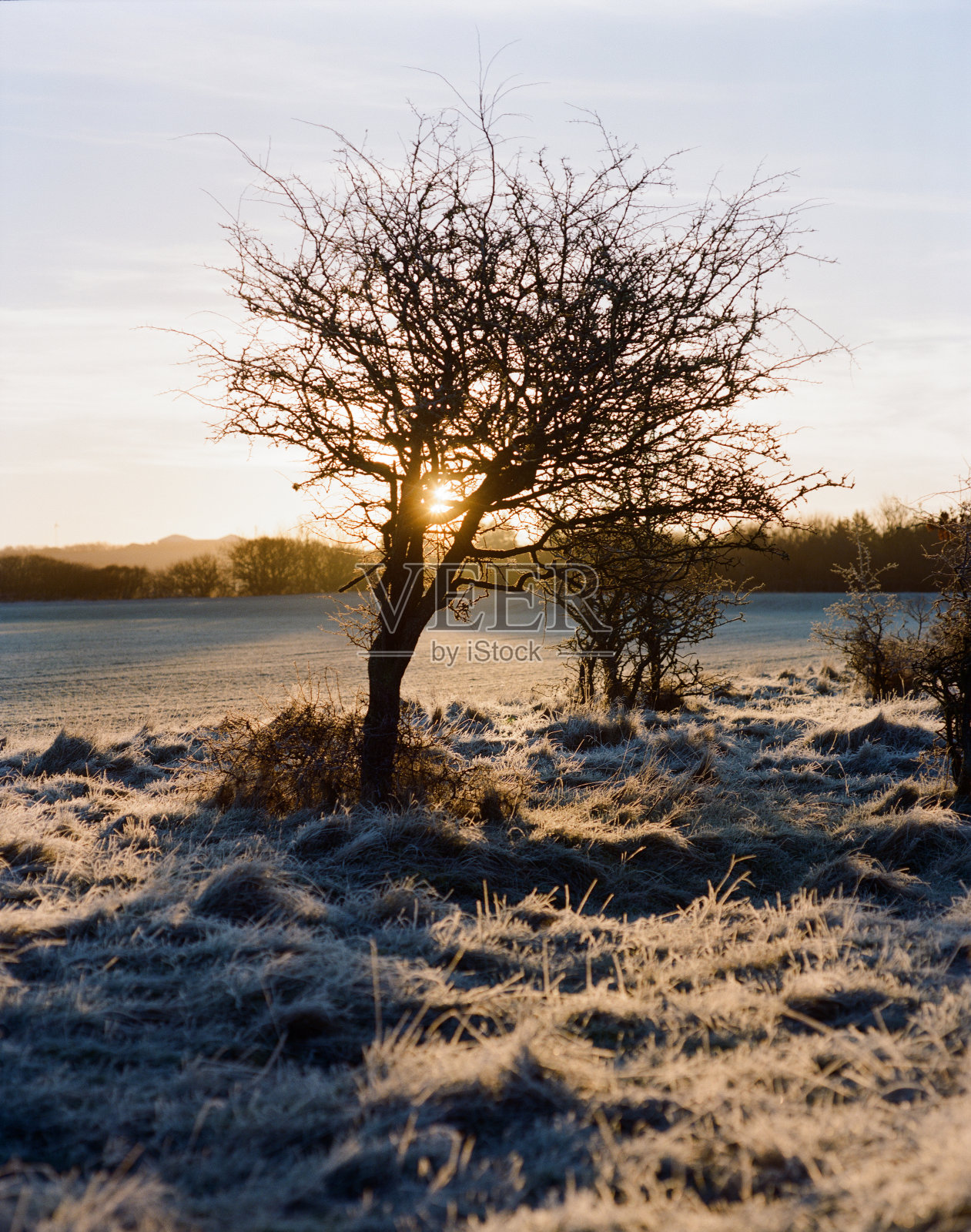 斯堪的纳维亚的冬天的早晨照片摄影图片