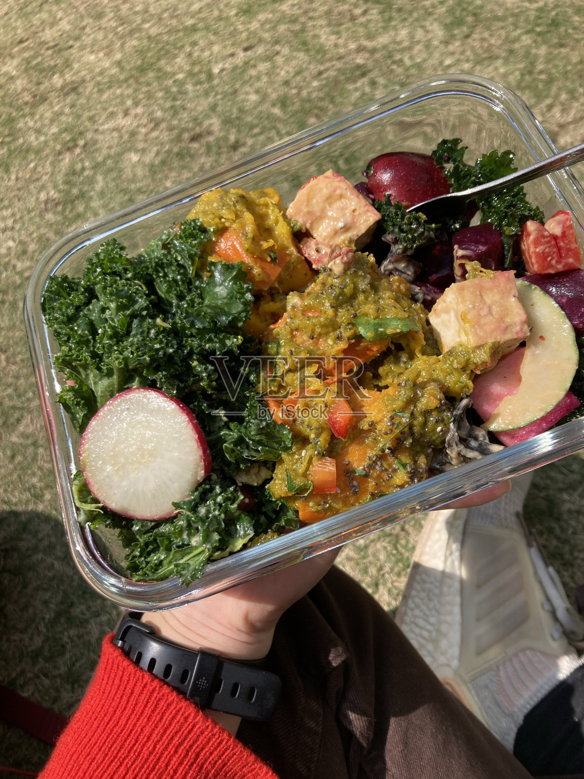 公园里的素食沙拉照片摄影图片