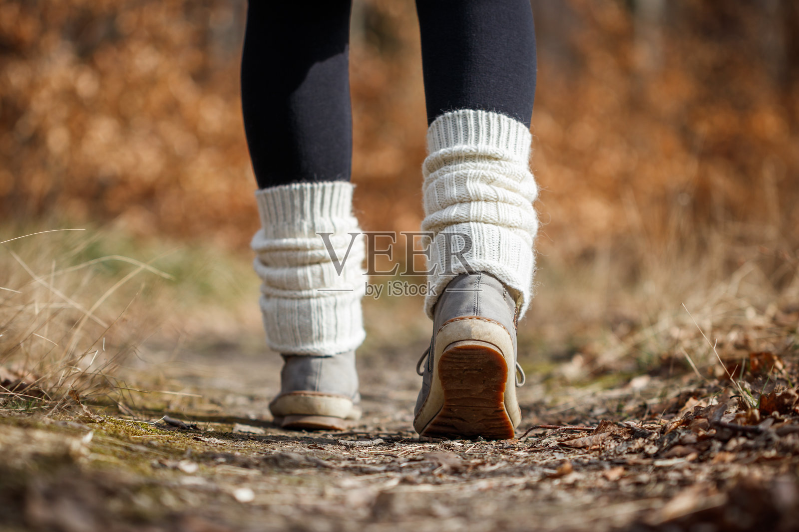 针织腿暖徒步靴。女人在户外散步照片摄影图片