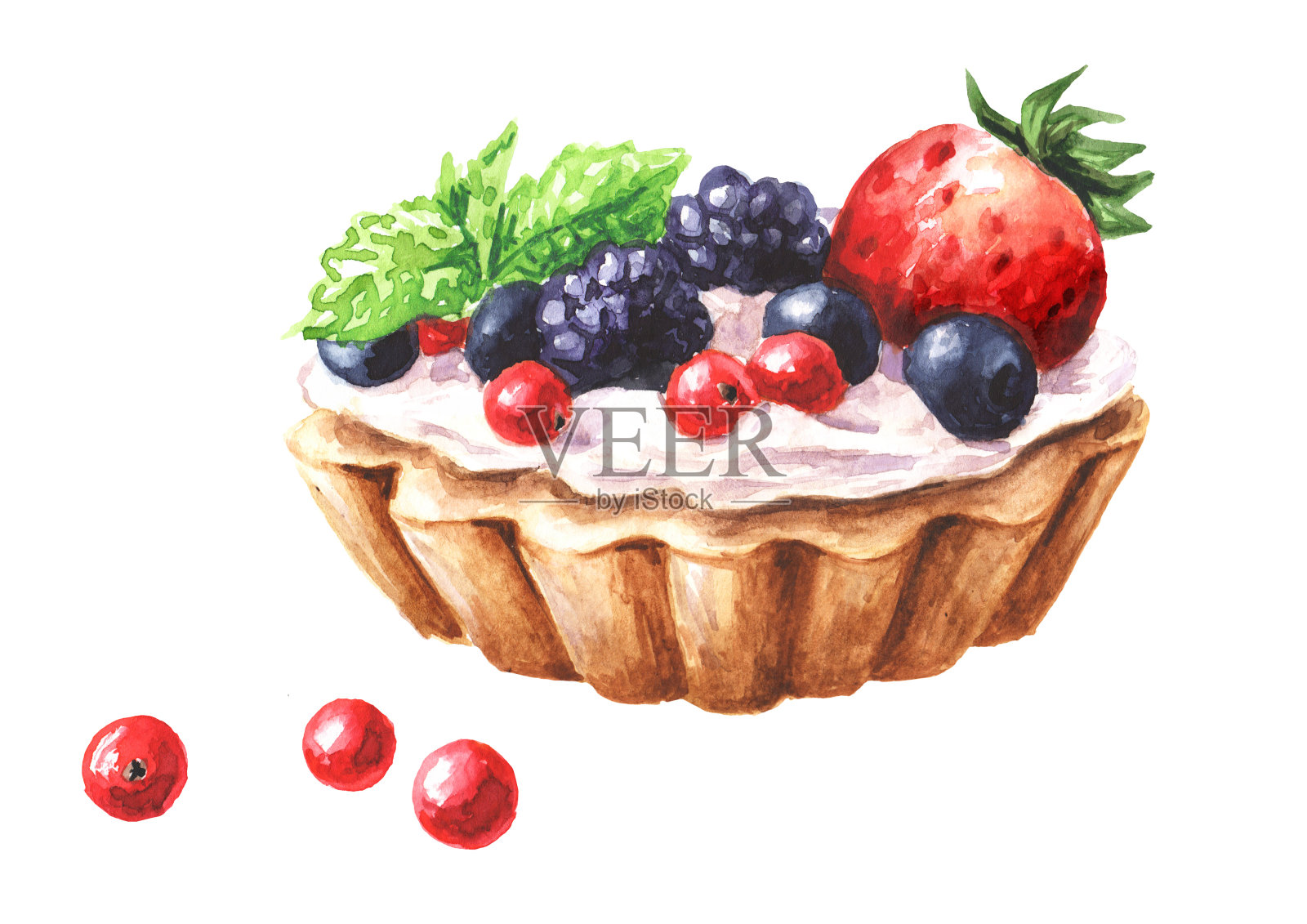 蛋糕与奶油和新鲜的水果和浆果，手绘水彩插图孤立在白色背景插画图片素材