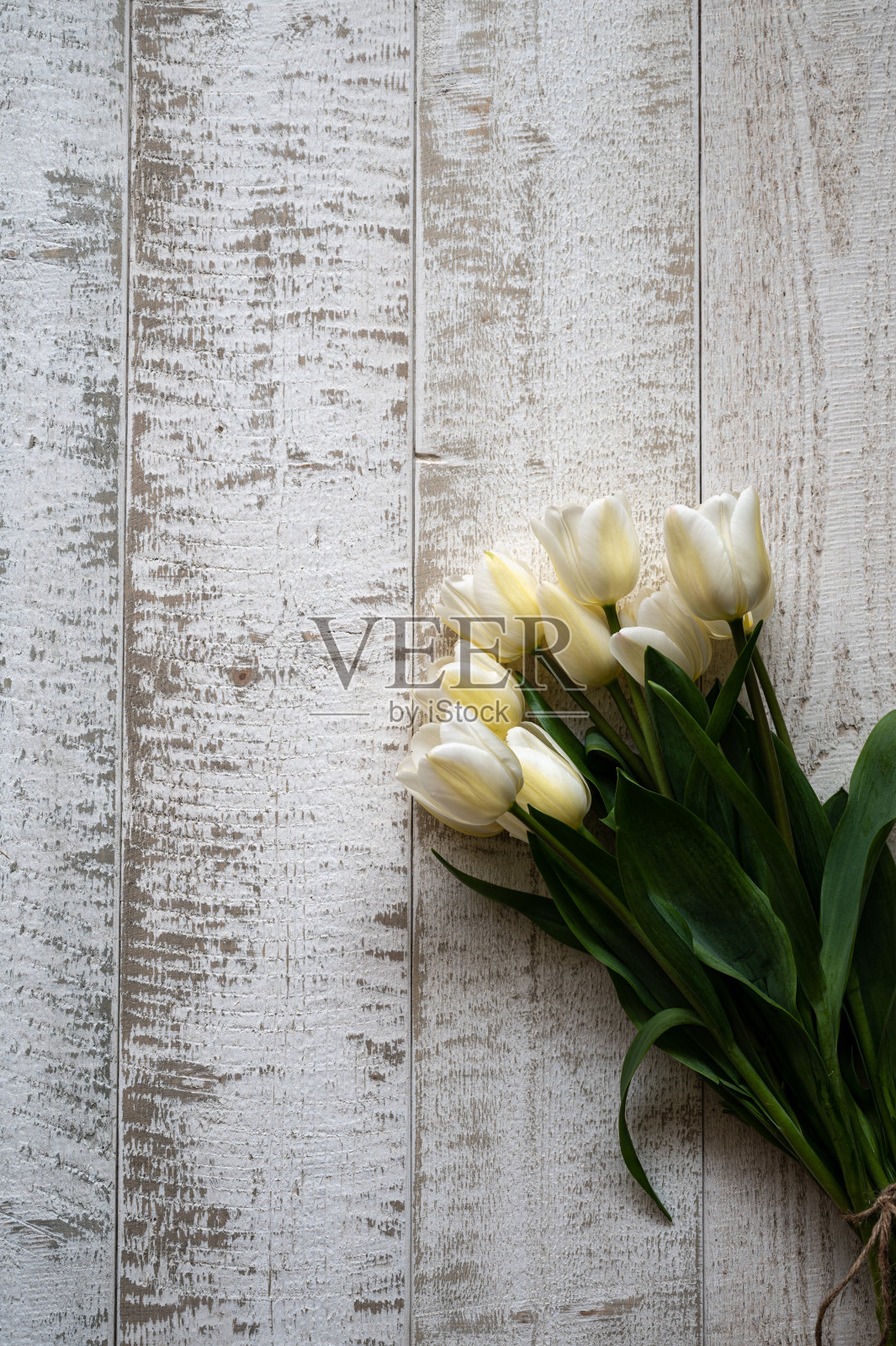 在木制背景上平坦的郁金香。照片摄影图片